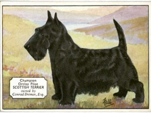When Tobacco Came With Doggy Playing Cards