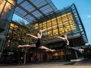 How Duke Serves the Artist and the Scholar