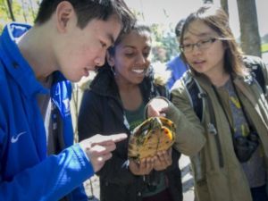 Advice for Undergrads Navigating Constellations